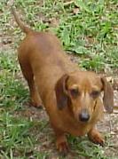 nuthin1.jpg (24767 bytes)