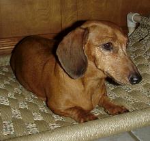 nuthinside.jpg (22260 bytes)